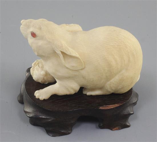 A good Japanese ivory okimono of a hare, Meiji period, length 8.5cm excl. wood stand